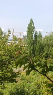 Гостевой дом Garden House - 1