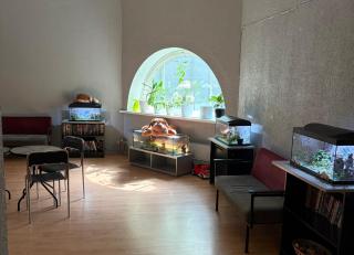 Narva Center - Kangelaste 2 Apartments - 6