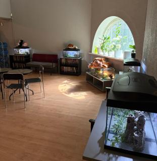Narva Center - Kangelaste 2 Apartments - 5