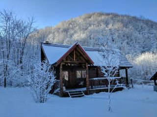 The Little Mountain Cabin - Borlova - 4