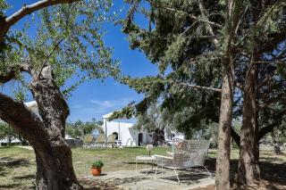 Modernist Pool Villa - Grambella Olive Estate - 2