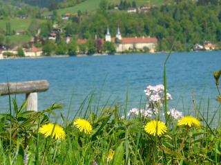 Schlosserhof am See - 8