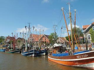 Stedesdorf, Ferienwohnung 'Nordsee-Wattwurm' - 4