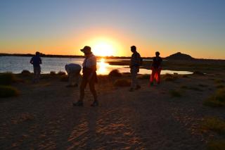 Tuya Hotel - Abu Simbel - 3