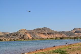 Tuya Hotel - Abu Simbel - 2