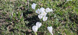 Ferienwohnung Pusteblume4 - 8