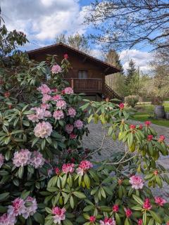 Chalet ida - 3