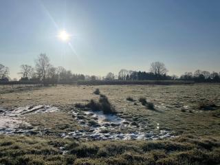 Meedehof Moorhausen, WH Kuhstall - 6