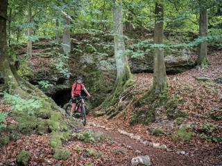 3-Zi App I Fränkische Schweiz, Miselgau-Obernsees - 5