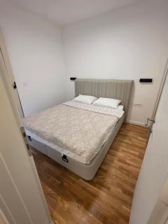 Lux T-residence & garage - 9