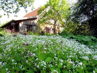Ferienhaus Apfelhof - Tressow - 6