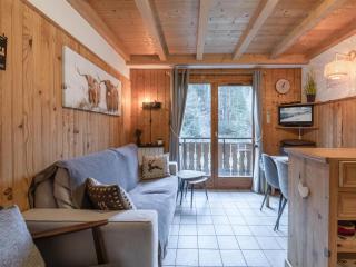Appartement 4-6 pers au pied des pistes Morzine, animaux admis, parking - FR-1-754-28 - 5