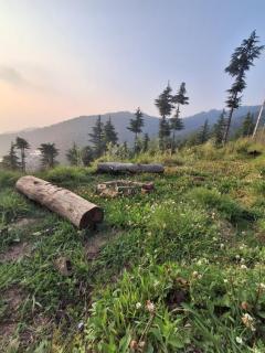 Sevam farms homestay - 2
