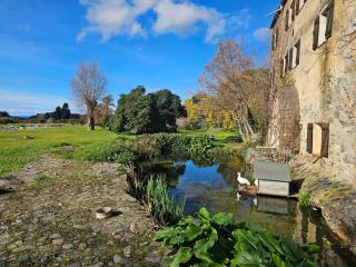 Appartement en rez-de-jardin - 1