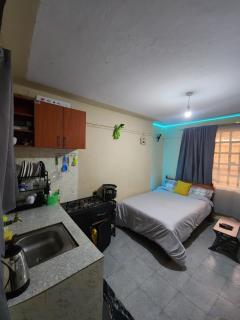 Neon Studio apartment in Juja near Jkuat - 0