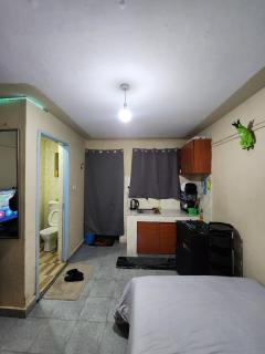 Neon Studio apartment in Juja near Jkuat - 4