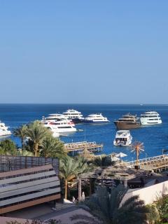 Diamond Resort - 1