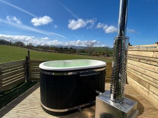 Pant y Rhedyn Glamping and camping site - 6