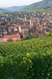 Gîte l'Agapé - Riquewihr - 5