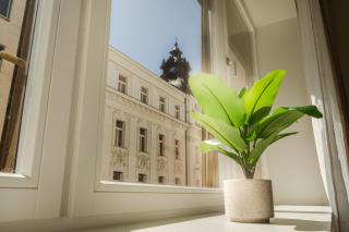 LOCA by Ambiente Apartments - 4