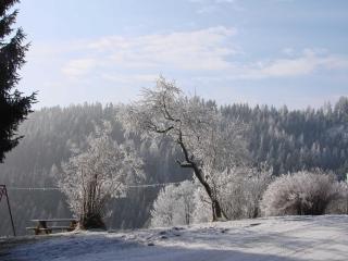 Pircherhof - Urlaub und Erholung im Troadkost'n - 3