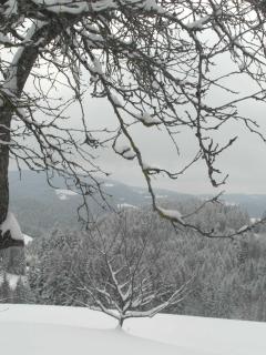 Pircherhof - Urlaub und Erholung im Troadkost'n - 1
