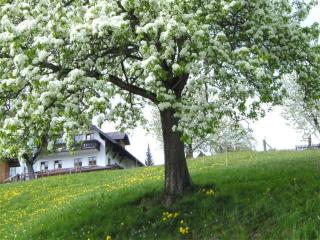 Minabauer - Altmünster - 8