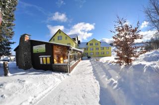 Marschalls Hotel Am Rennsteig - Neuhaus am Rennweg - 1