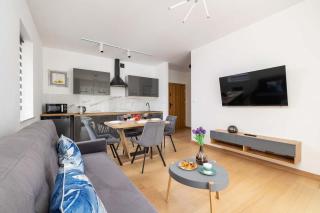 Przytulne Apartamenty w Górskim Zakątku Wisły by Noclegi Renters - 3