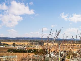 The Cherry Tree - 3