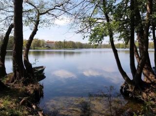 Ferienhaus Altes Kabinett - Schorssow - 8