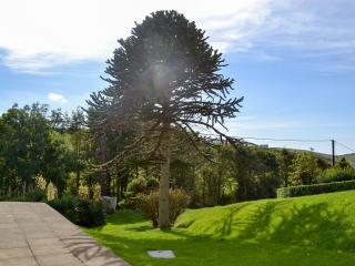 West Park - 1
