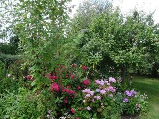 Luckow Georg Asmussen Haus - 2