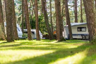 Urlaub im Wohnwagen mitten im Wald - 0