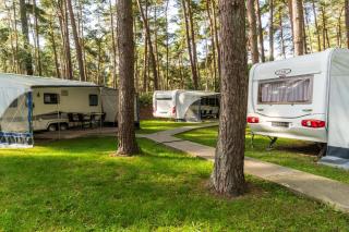 Urlaub im Wohnwagen mitten im Wald - 7