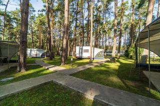 Urlaub im Wohnwagen mitten im Wald - 5