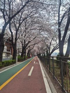 easy stay sejong - 9