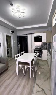 Ayla Apart - 2