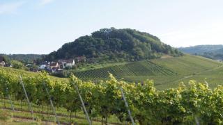 Gästehaus Winzerhof am Schlierbach - 7