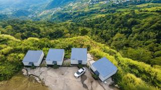 The Forest View - 8