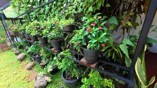 Ranmini Rest - 5