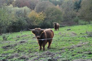 FEWO Geisbergblick - 6