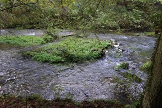 FEWO Geisbergblick - 1