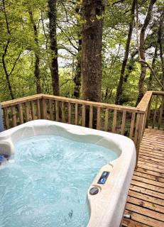 Tiny House-Hot Tub-St Clears-Pembrokeshire-Tenby - 7