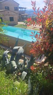 La Terrazza Tra Gli Ulivi - Piscina e Relax - 0