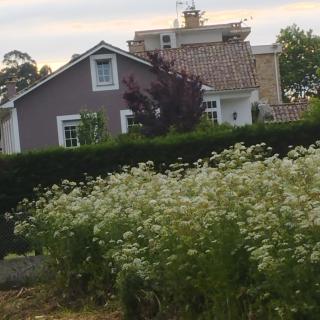 Casa Do Maruxo - 6