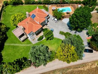 Villa Polyxeni Lavender 150m from the sea - 6