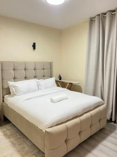 Victor Airport suites - 6