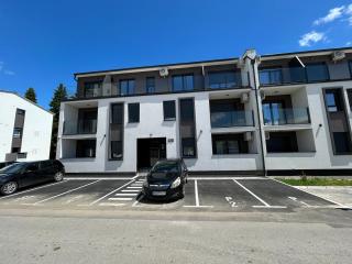 Lux Family Apartment Surcin - 8