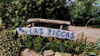 B&B Las Piccas - 7